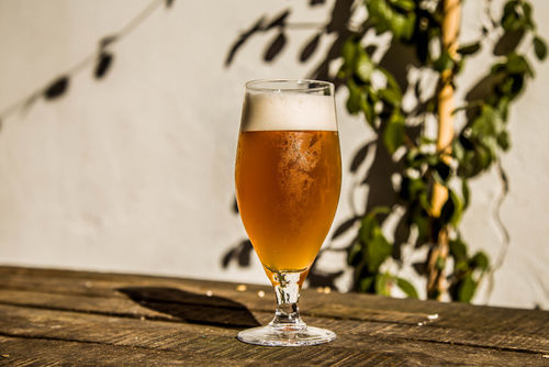 日本酒やワインだけでなく実はビールも超有名。兵庫のクラフトビール