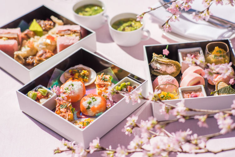 桜の名所 「SAKURAテラス」でたのしむ、三段重のオリジナルランチ