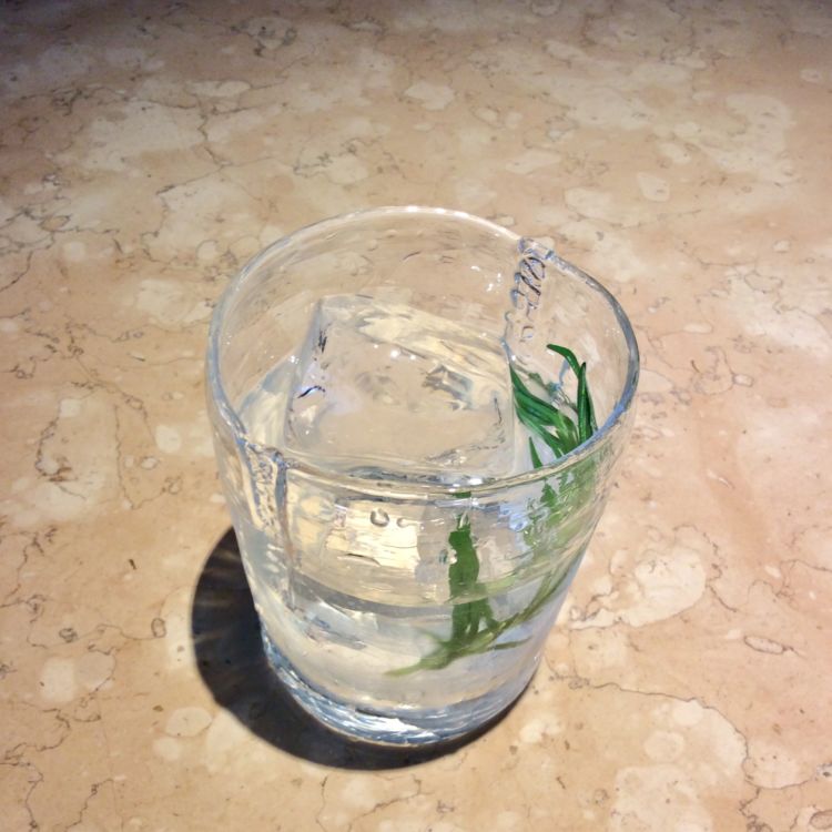 爽やかなハーブの香りのカクテル 「焼酎レモネード」