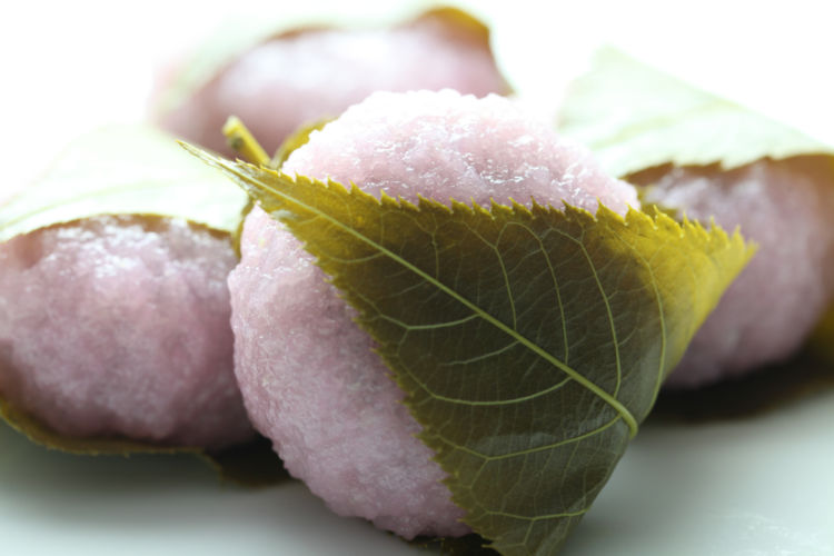 バイソン(野牛)が好んで食べる野草を漬け込んだウォッカ