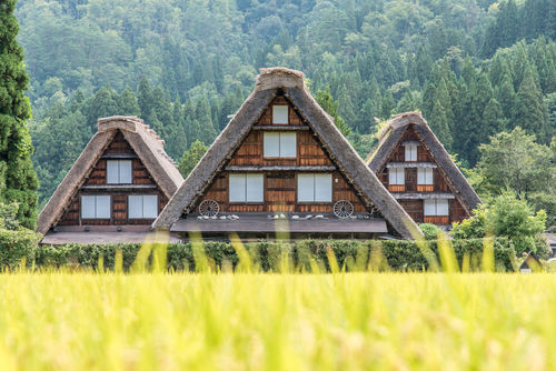 飛騨の恵みいっぱいのビールを嗜む。岐阜のクラフトビール