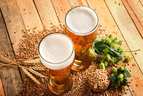 飛騨の恵みいっぱいの「地ビール飛騨」