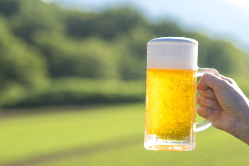 福井の日本酒とビール