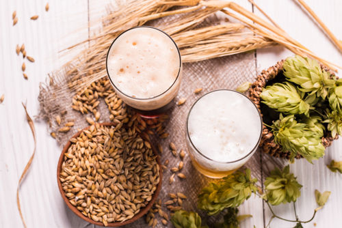 麦芽100%!コクのあるビール造りをする「越の磯」