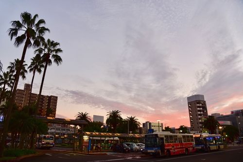 「ひでじビール」に「霧の蔵ブルワリー」チェック必須の宮崎のブルワリー