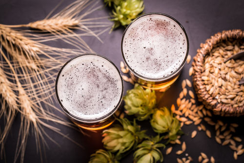 ビールの原料、大麦とホップの種類からビアスタイルを考える