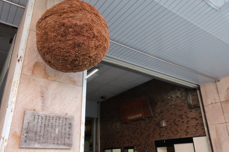 兼六園に続く大通りに面して飾られている酒林。