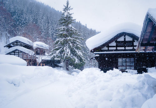 東北ならではの厳しい寒さを活かした「長期低温仕込み」