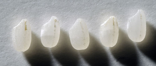 「七田」は、「逆転の発想」から生まれた7割5分の純米酒