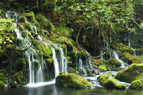 「山本」シリーズの魅力を生んだのは「天然湧水」と「蔵元のこだわり」