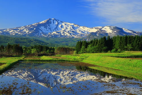 「鳥海山」は老舗蔵元が誇る秋田の地酒