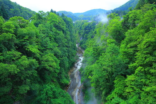 「花邑」を生んだ両関酒造と湯沢の風土