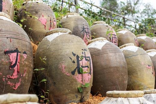 紹興酒や老酒も黄酒に含まれるって知っていましたか?