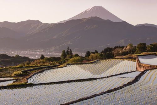 山梨は名水の里! 自然のなかで磨きぬかれた酒