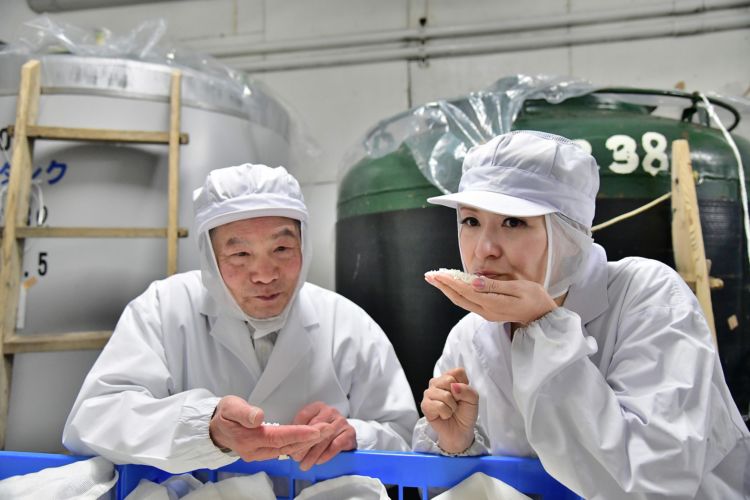 出来あがったばかりの麹を試食させていただきました。