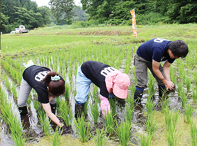 陸奥八仙は地元・青森産にこだわる酒