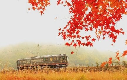 日本海を望む “ほろ酔い”列車の旅! 地酒や地ワインを片手に景色をたのしむ