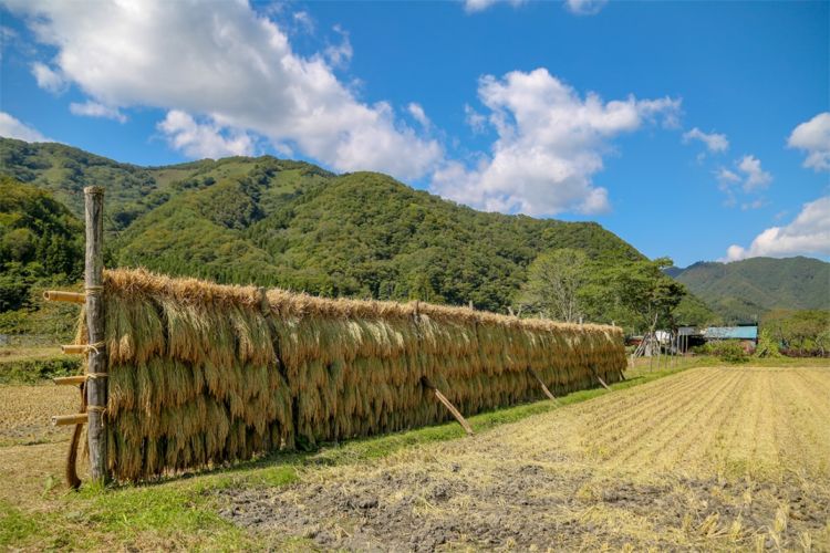 浜千鳥のオール岩手へのこだわり