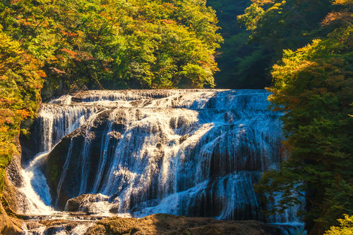 茨城の5つの水系から生まれた個性あふれる蔵元
