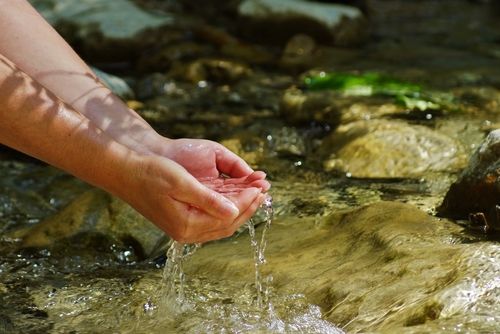 「手取川」を生んだ石川の豊かな自然