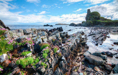 「ラフロイグ」を生んだスコッチウイスキーの聖地、アイラ島