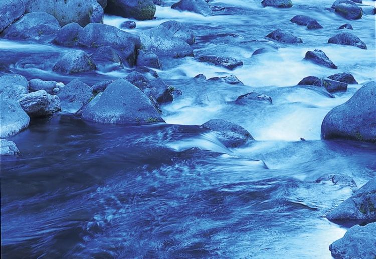 「雲海」特有の清らかな味わいをロックでたのしむ