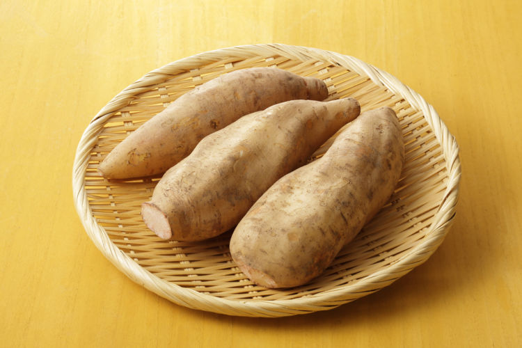 宮崎の焼酎【㐂六(きろく)】穀物をしっかりと感じさせる芋焼酎