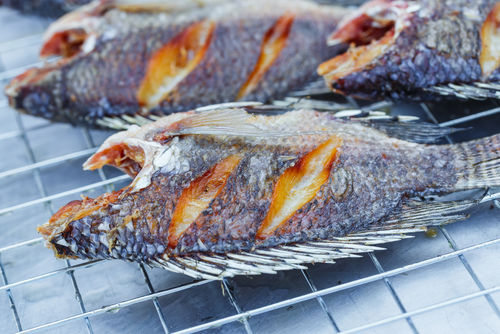 滋賀の地酒は淡水の魚介類との相性もバッチリ