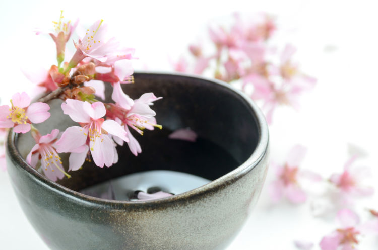山梨の日本酒【青煌(せいこう)】花酵母で日本酒業界に煌めきを