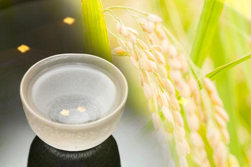 「青煌」の全国の酒造好適米を用いたラインナップ