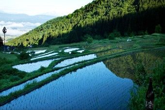 「水尾」は、良質な水と米からの手造り