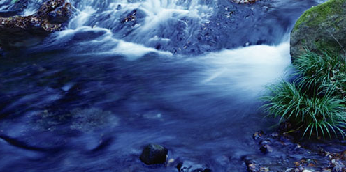 「白水」のこだわりは、南阿蘇・白川水源の水