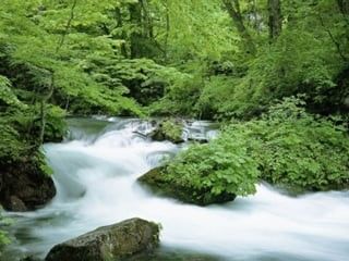「ローレライビール」は、木曽川の伏流水で仕込まれる