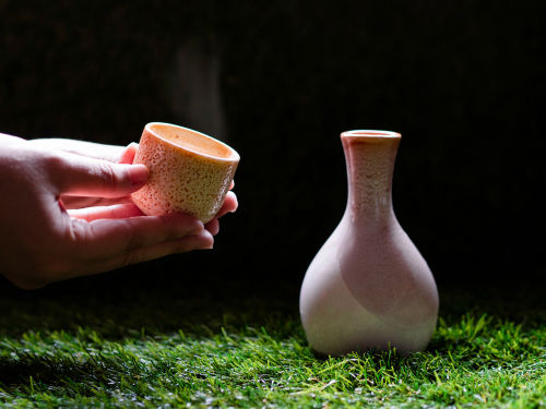 「武者返し」は、燗にして飲みたい焼酎
