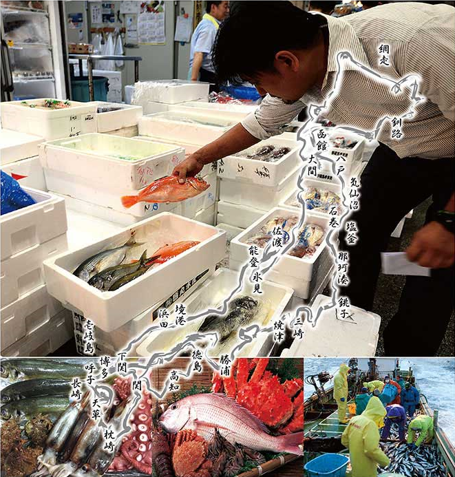 徹底したこだわりで仕入れた新鮮魚介