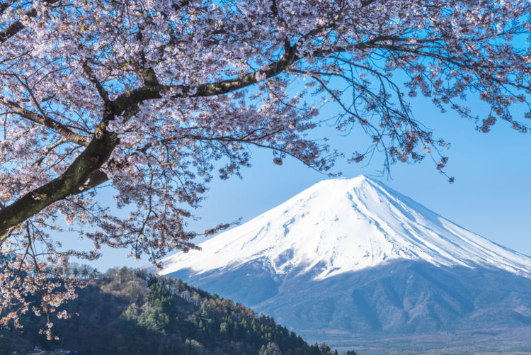 静岡の日本酒【開運(かいうん)】吟醸王国を代表する良質なお酒