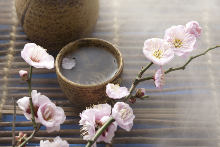 静岡の日本酒【花の舞(はなのまい)】食事に合うお酒をめざした逸品