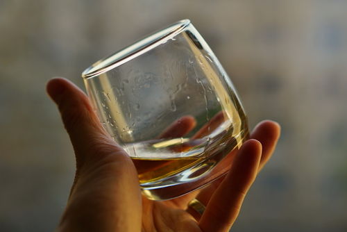 「青一髪」一銘柄に賭ける蔵元の想い