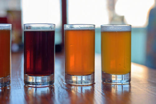 「TDM 1874 BREWERY」ならではの魅力的な日替わりビール