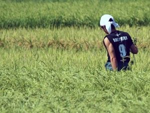 「醸し人九平次」の進化はワイン造りに通ずる
