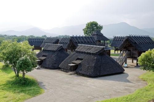 「鍋島」の蔵元、富久千代酒造の酒造り