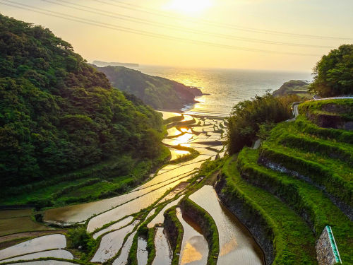 「鍋島」の酒造りを通じて、マチとムラをつなぐ
