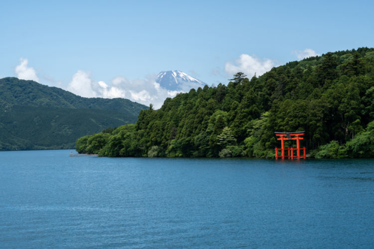 神奈川の日本酒【箱根山(はこねやま)】米の味を活かしたふくよかな味わい