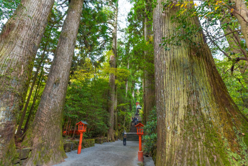 「箱根山」は日本から世界に発信するために命名