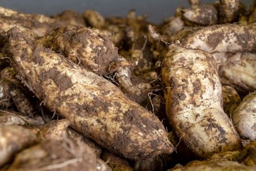 「喜多里」の原点は原料へのこだわり
