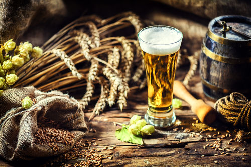 ビール作り体験の内容とは?