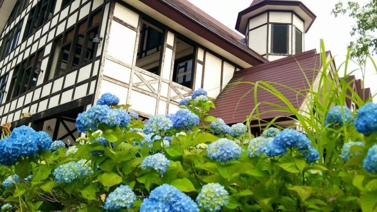 「胎内高原ビール」が飲めるおすすめショップを紹介
