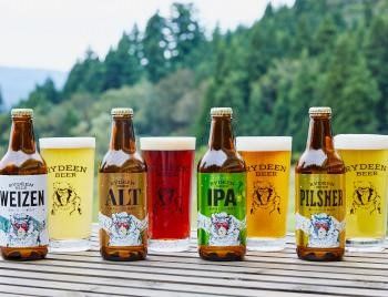 新潟のビール【ライディーンビール(旧:八海山泉ビール)】「八海山」の蔵元が提供する本格クラフトビール