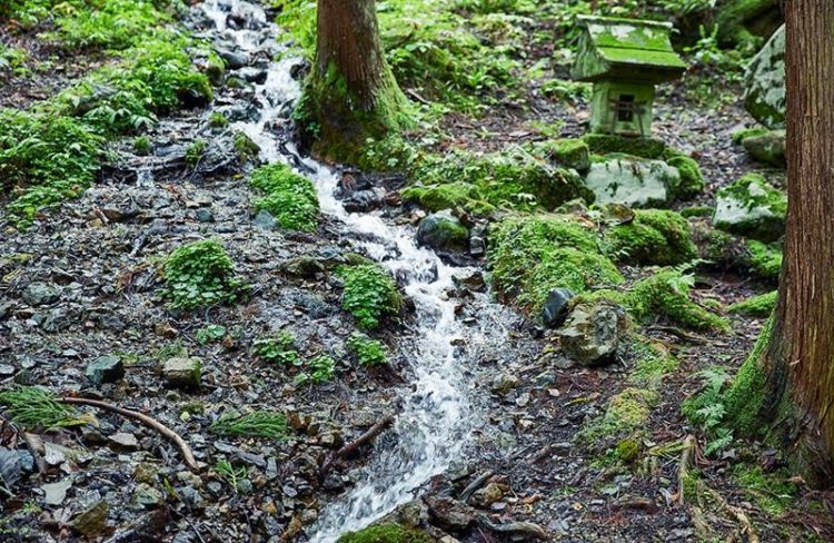 「ライディーンビール」は「八海山泉ビール」をリブランディングして誕生