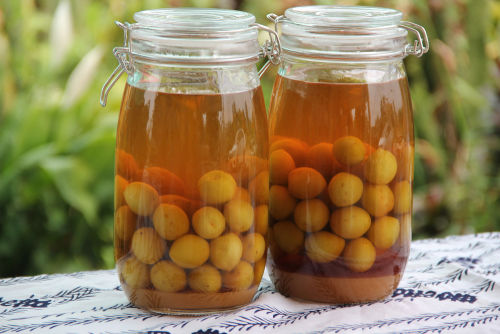 ウイスキーで作る梅酒は梅が主役